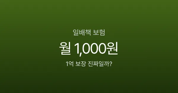 일상생활배상책임보험, 월 1,000원으로 1억 보장? 가입 전 반드시 확인할 3가지