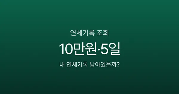연체기록 조회 방법, 10만원 5일 밀렸을 뿐인데 대출 거절된 이유