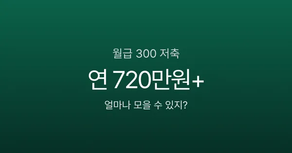 월급 300만원 실수령액 270만원, 월 60만원 저축하면 1년 뒤 얼마?