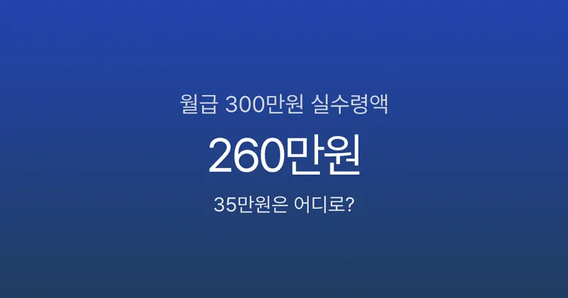 월급 300만원인데 실수령 260만원? 매달 빠지는 35만원의 정체