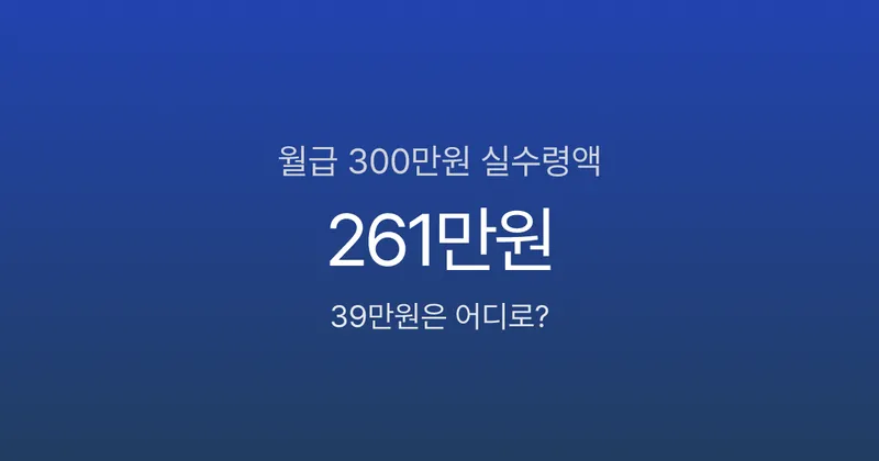 월급 300만원인데 실수령 261만원? 매달 빠지는 39만원의 정체