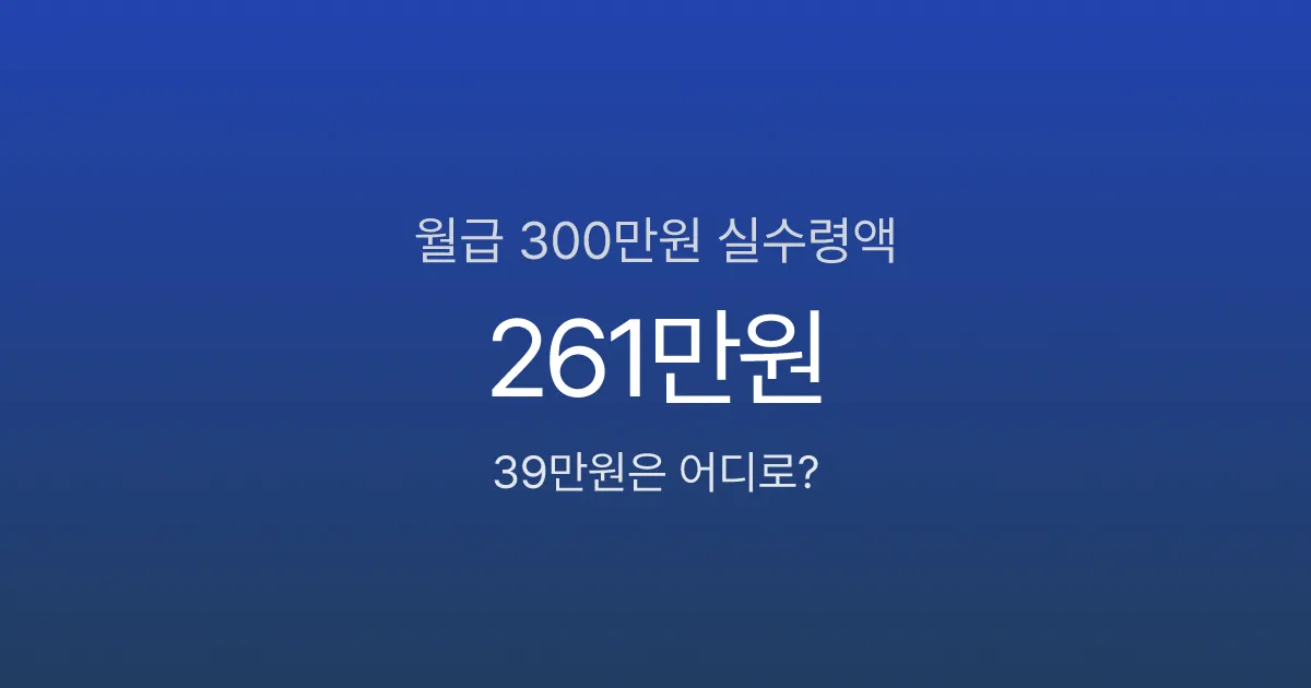 월급 300만원인데 실수령 261만원? 매달 빠지는 39만원의 정체