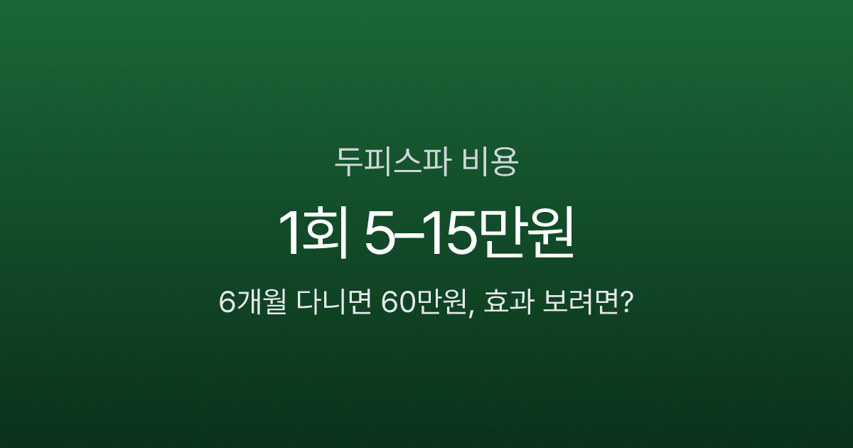 두피스파 비용 구조 인포그래픽
