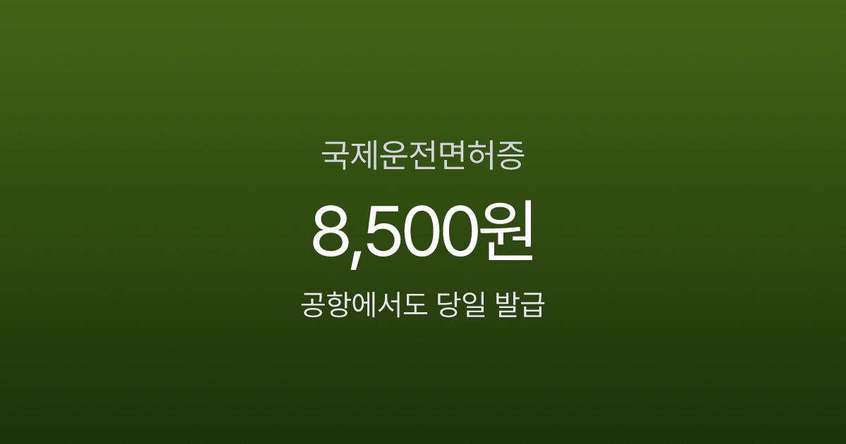 국제운전면허증 8,500원 발급 비용과 영문면허증 비교 인포그래픽